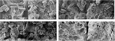 Effects of shear emulsifying/ball milling/autoclave modification on structure, physicochemical properties, phenolic compounds, and antioxidant capacity of lotus (Nelumbo) leaves dietary fiber